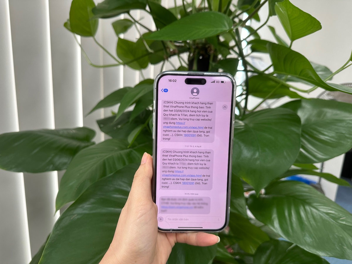 SMS Brandname: Information security and reputation protection in the context of increasing brand impersonation